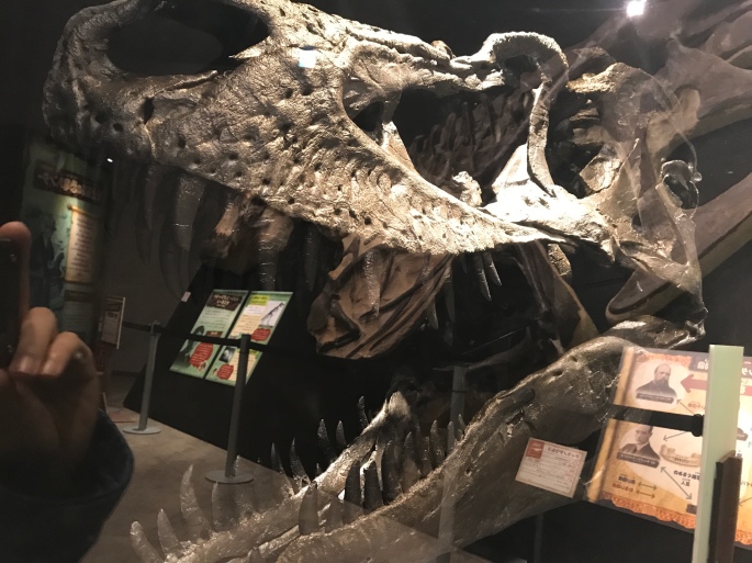 恐竜ハンターキャンプ ケラトプスユウタの恐竜旅行ブログ